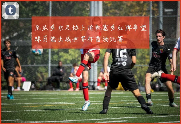 厄瓜多尔足协上诉凯塞多红牌希望球员能出战世界杯首场比赛