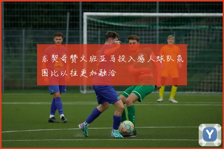 东契奇赞文班亚马投入感人球队氛围比以往更加融洽