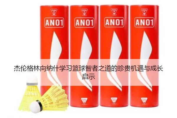 杰伦格林向纳什学习篮球智者之道的珍贵机遇与成长启示（Sports）